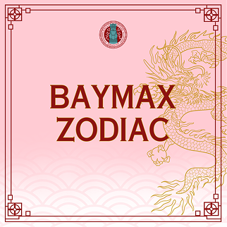Baymax Zodiacs